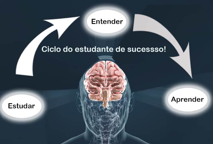 ciclo-do-estudante-de-sucesso-1 